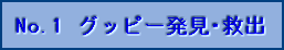 No.1 Obs[~o