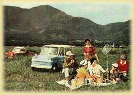 picnic