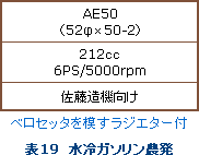 表19